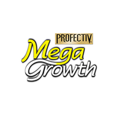 Profectiv Mega Growth
