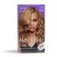 Dark and Lovely Fade Resistant Rich Conditioning Hair Color - Honey Blonde,378