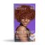 Dark and Lovely Fade Resistant Rich Conditioning Hair Color - Red Hot Rhythm,376