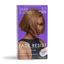 Dark and Lovely Fade Resistant Rich Conditioning Hair Color - Sunkissed Brown,377