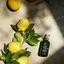 Paul Mitchell Tea Tree Lemon Sage Thickening Spray - 200ml
