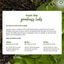 Plum Green Tea Pore Cleansing Face Wash - 50ml