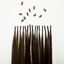 Beauty Works Celebrity Choice® Stick Tip Bond - Ashed Brown,24"